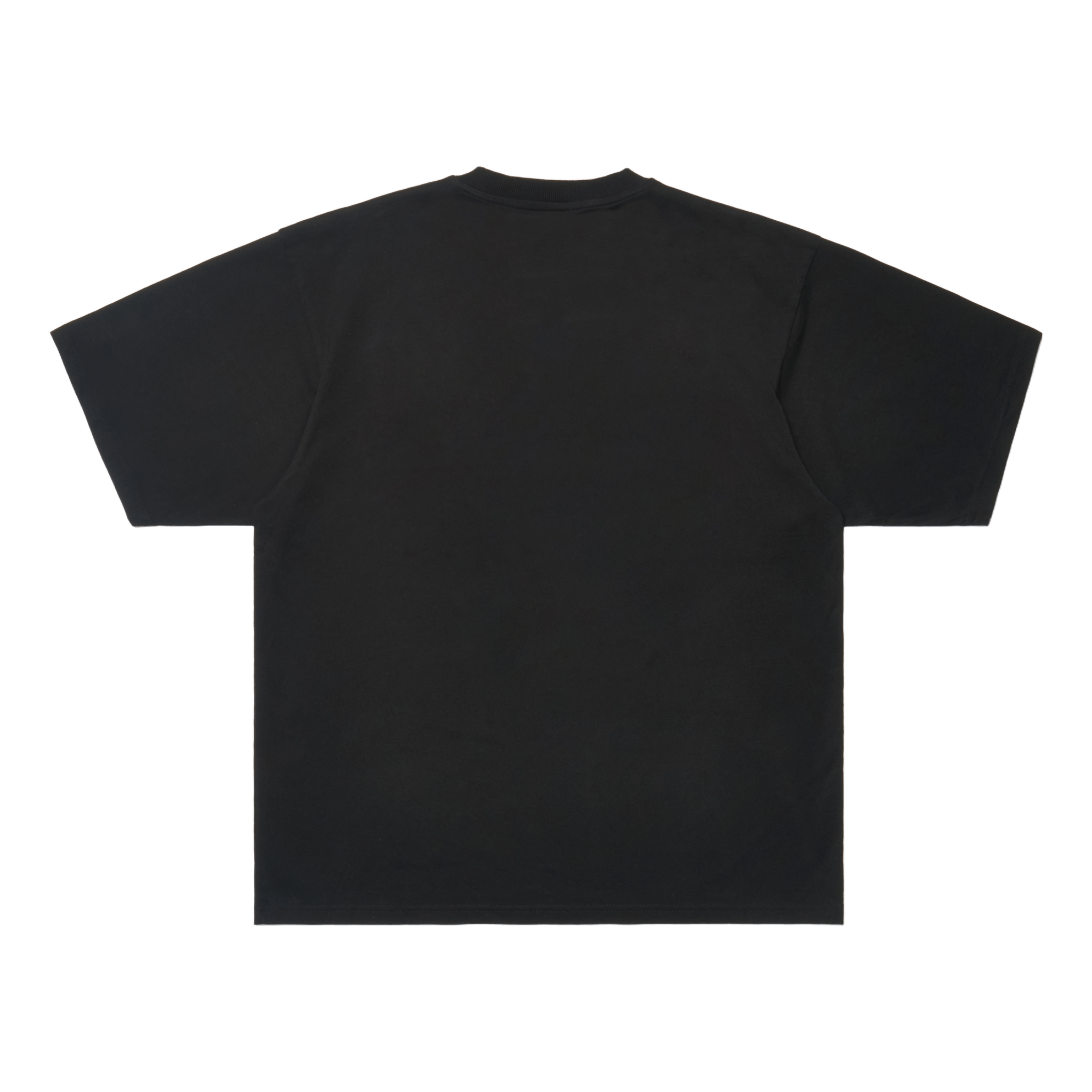 SCRT What If You Stayed T-Shirt Black - CSCRW4409 - Coziness