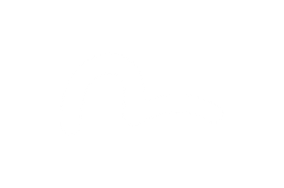 Evisu Logo